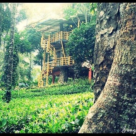 Jungle Jive Treehouse And Farm House Муннар Экстерьер фото
