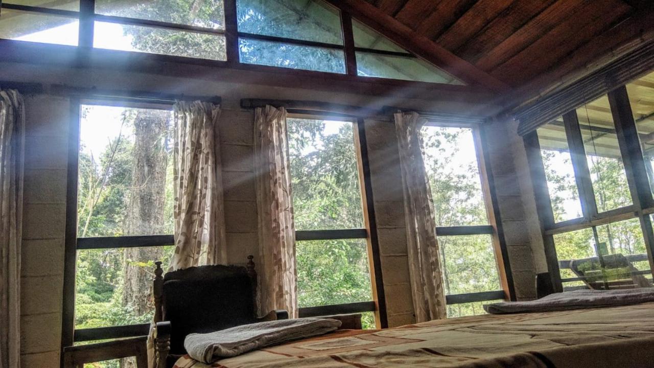 Jungle Jive Treehouse And Farm House Муннар Экстерьер фото