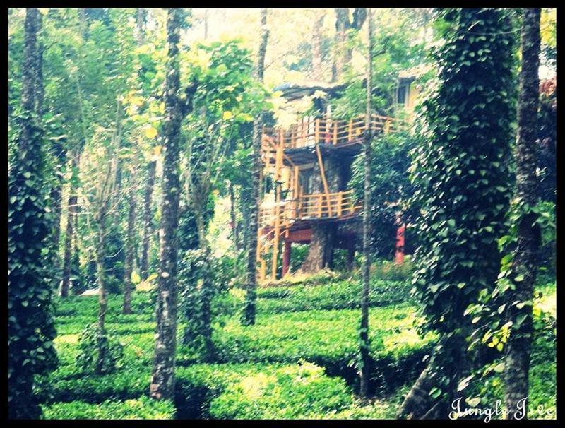 Jungle Jive Treehouse And Farm House Муннар Экстерьер фото