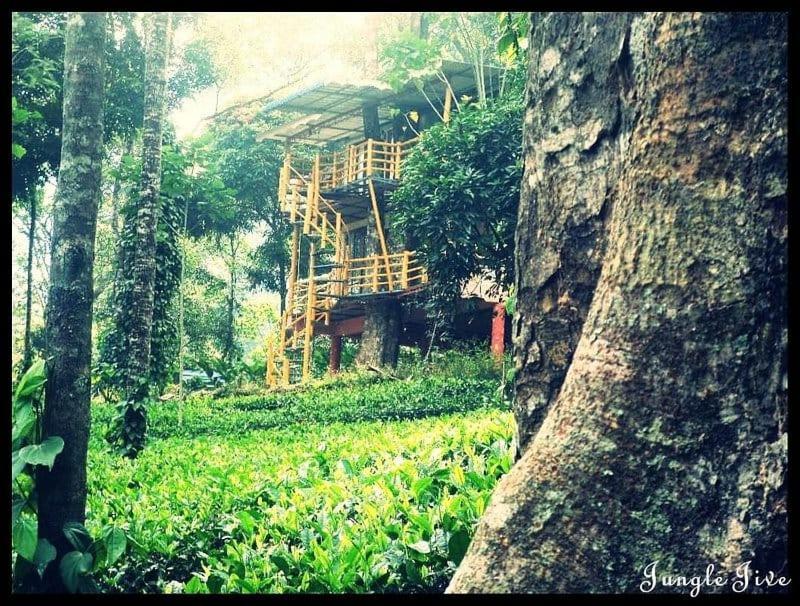 Jungle Jive Treehouse And Farm House Муннар Экстерьер фото
