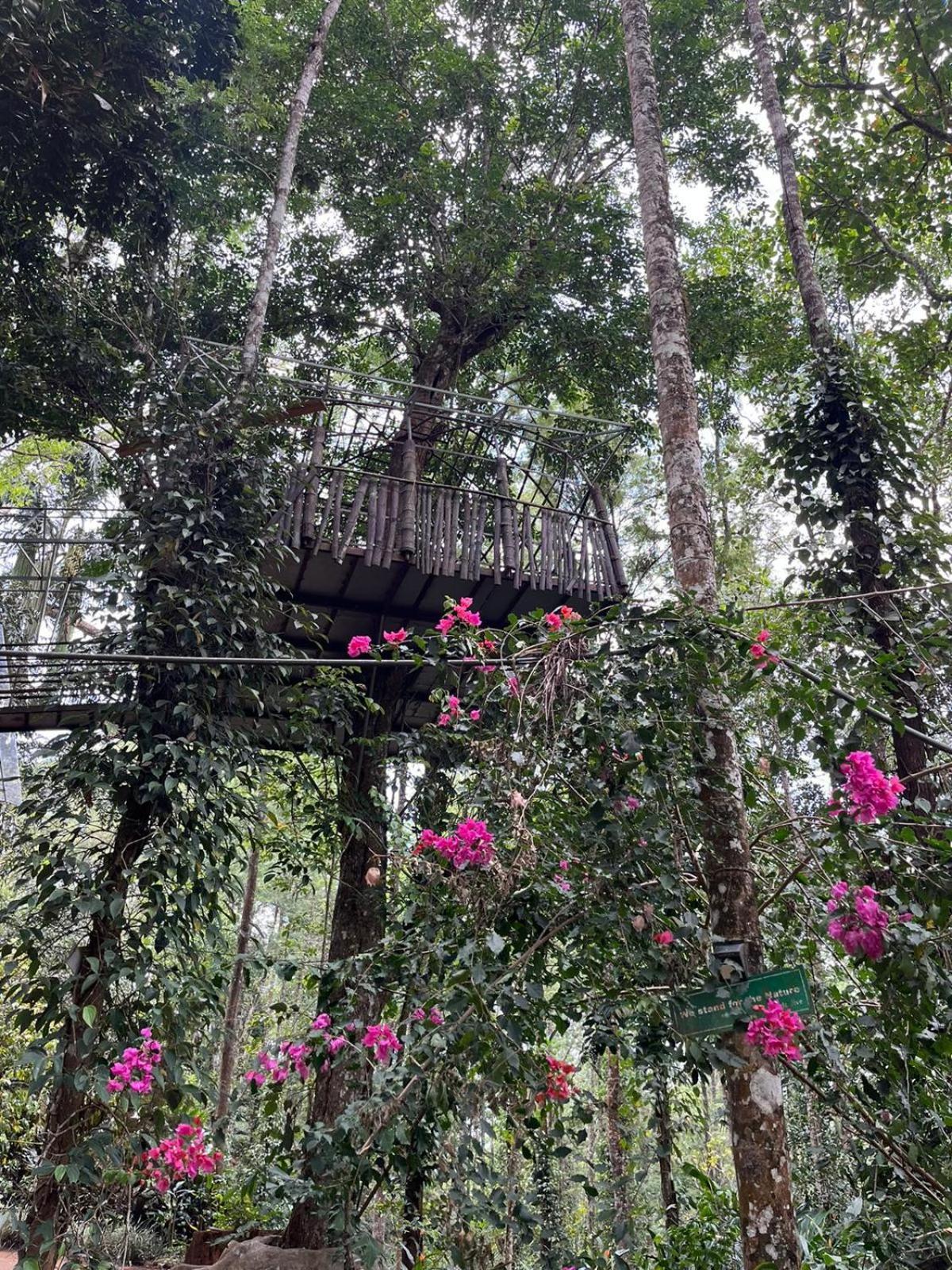 Jungle Jive Treehouse And Farm House Муннар Экстерьер фото