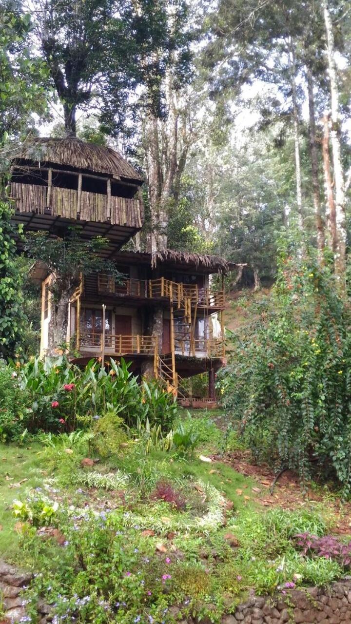 Jungle Jive Treehouse And Farm House Муннар Экстерьер фото