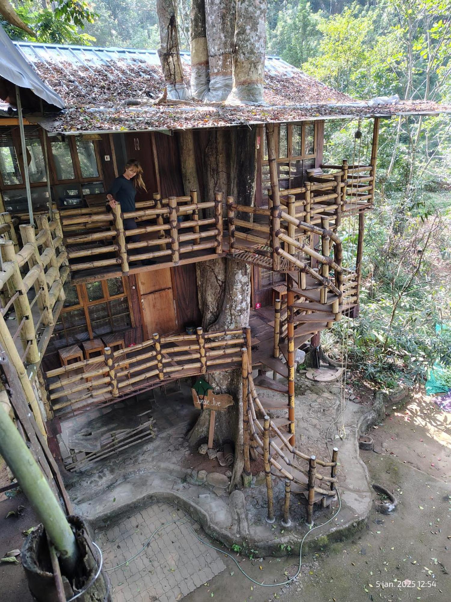 Jungle Jive Treehouse And Farm House Муннар Экстерьер фото