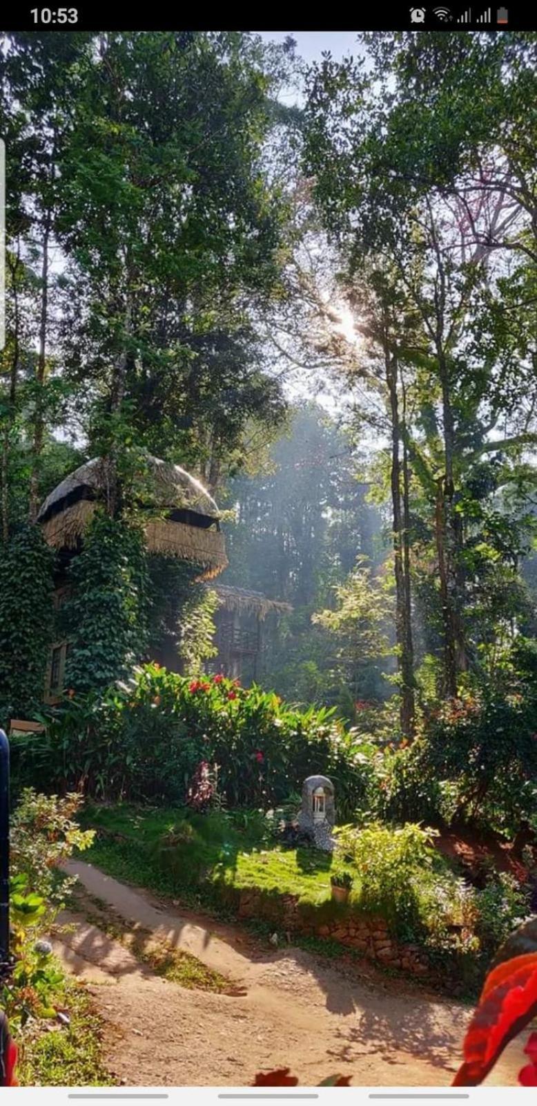Jungle Jive Treehouse And Farm House Муннар Экстерьер фото