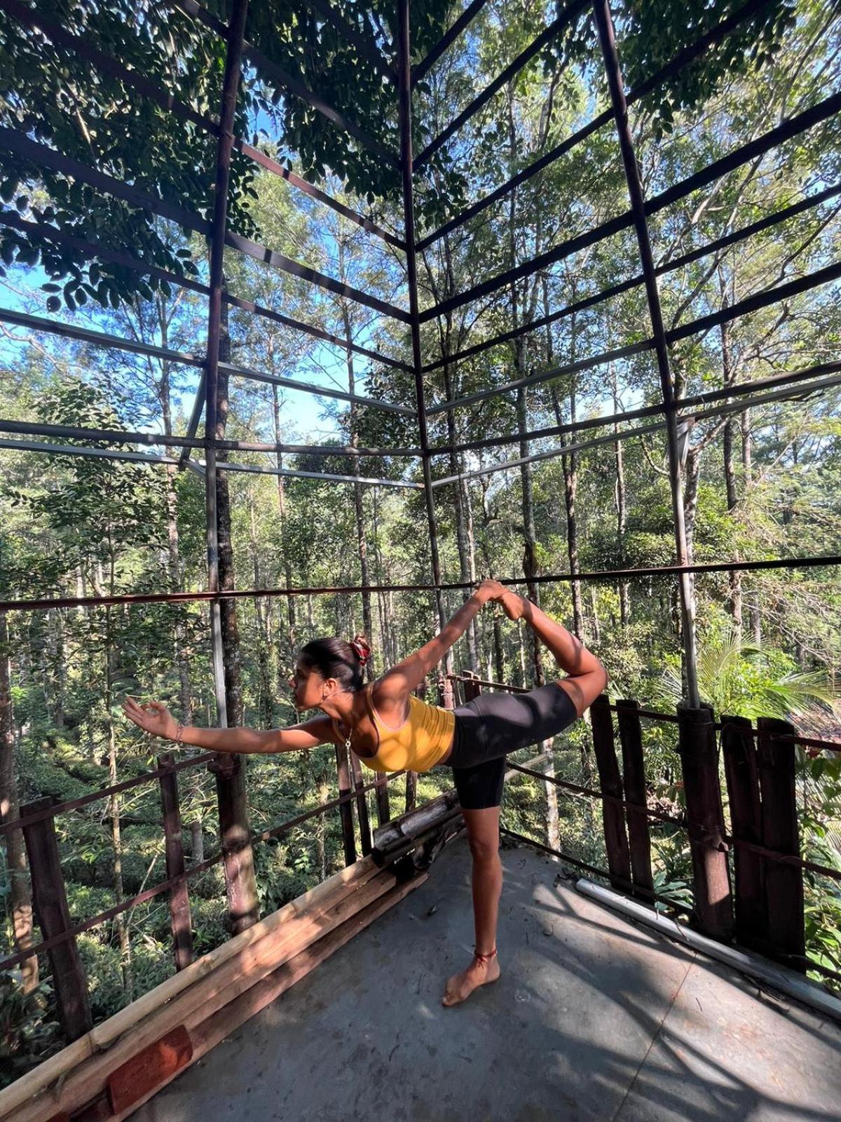 Jungle Jive Treehouse And Farm House Муннар Экстерьер фото